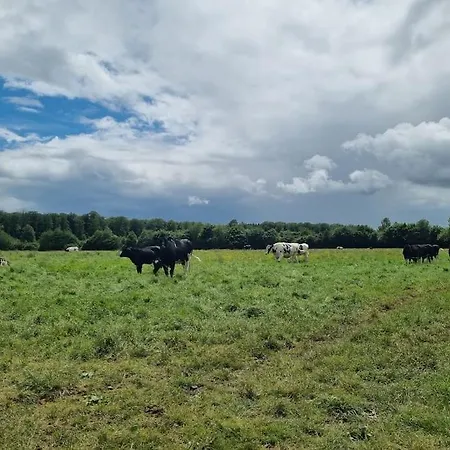 Les Terres De Marie - Calmes Et Modernes * La Haye-en-Lyons