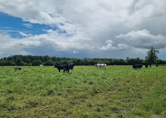 Les Terres De Marie - Le Chene Et Le Hetre * La Haye-en-Lyons