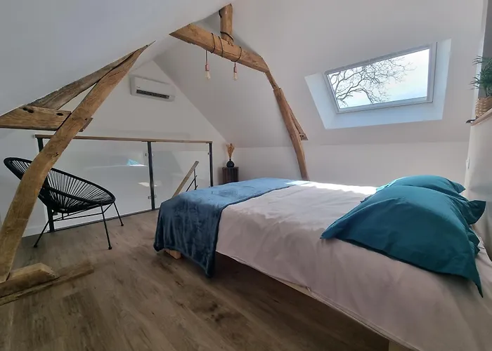 Les Terres De Marie - Le Chene Et Le Hetre